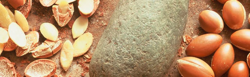 Óleo de Argan