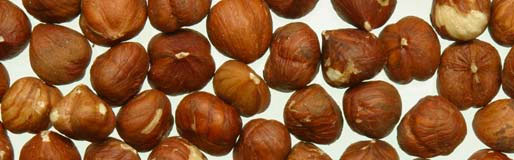 Óleo de Macadamia