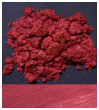 FocusPearl Russet
