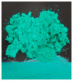 FocusPearl Green