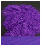 FocusPearl Violet