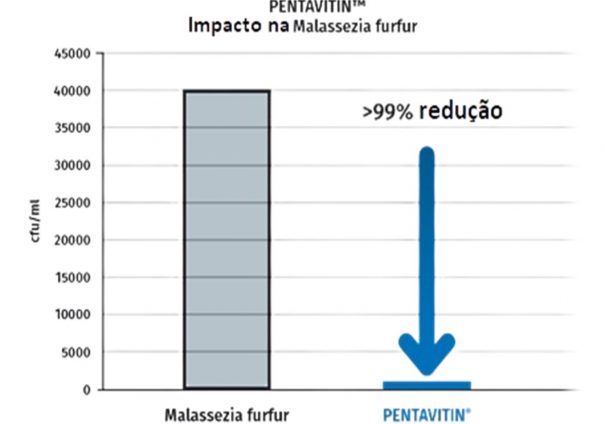 Scalp Care em Foco – Bioativos para o Tratamento Eficaz do Couro Cabeludo
